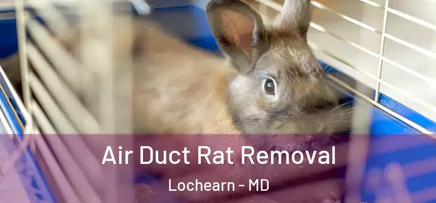  Air Duct Rat Removal Lochearn - MD