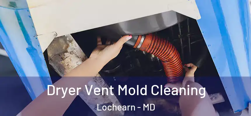  Dryer Vent Mold Cleaning Lochearn - MD