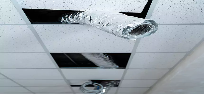 Affordable HVAC Sanitizing After Pest Removal in Lochearn