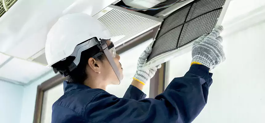 Our Mold & Mildew Removal from Air Ducts Services in Lochearn, MD