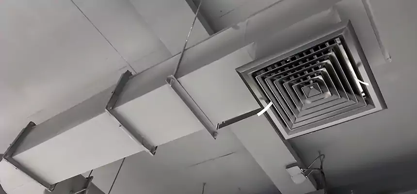 Our Pest Removal From Ducts Services in Lochearn, MD