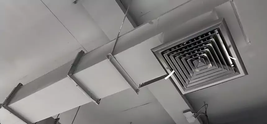 Our Rodent Droppings In Vents Services in Lochearn, MD