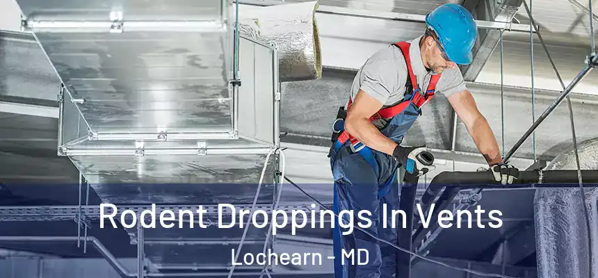  Rodent Droppings In Vents Lochearn - MD