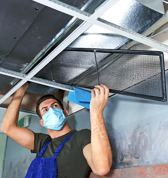 About Air Duct Bacteria Removal in Lochearn