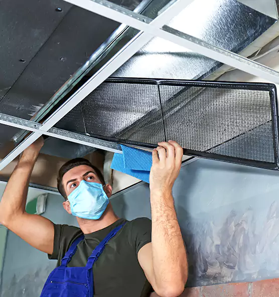 Professional Air Duct Pollen Cleaning in Lochearn, MD