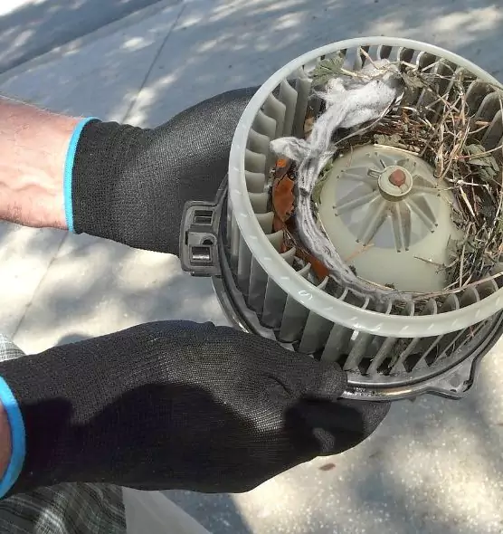 About Air Duct Rat Removal in Lochearn, MD