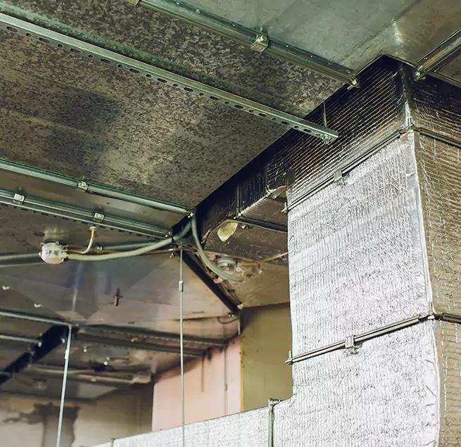 Why Homeowners & Businesses Trust Us in Lochearn, MD?