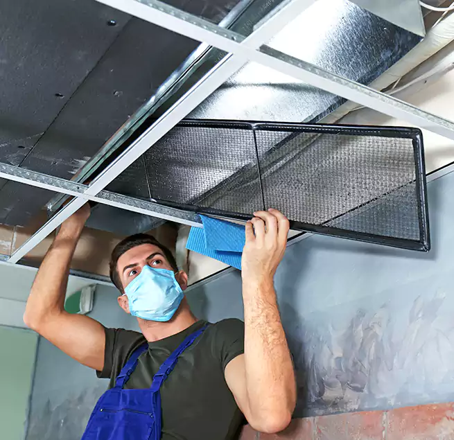 Why Homeowners Businesses Trust Us in Lochearn, MD